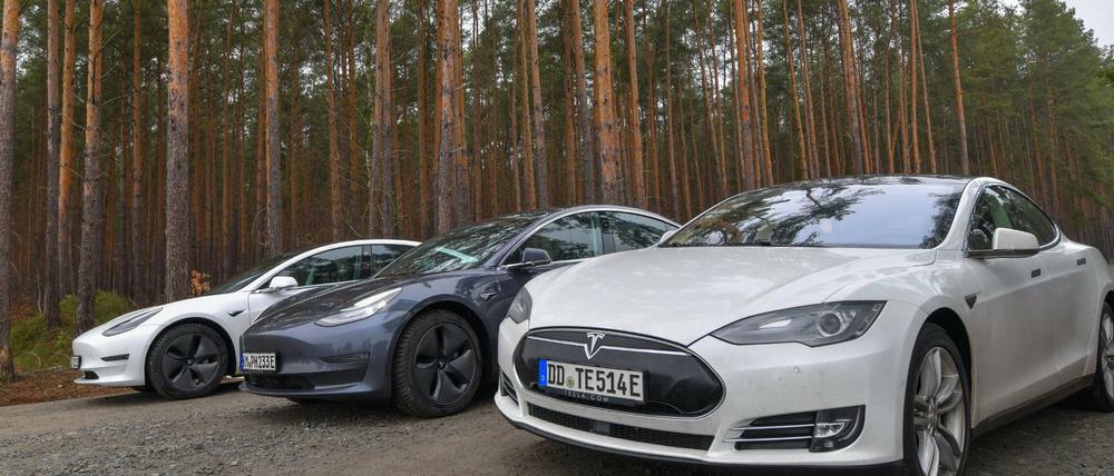 Elektrofahrzeuge der Marke Tesla stehen auf einer Straße am Rand eines Waldes, wo der Bau einer Tesla-Fabrik geplant ist.
