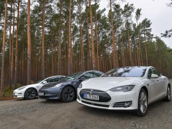 Kennzeichen E. Werbewirksam parken die E-Autos am Rand eines Waldes, wo der Bau der Tesla-Fabrik geplant ist.