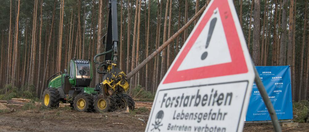 Der US-Elektroautobauer Tesla lässt für sein neues Werk in Grünheide den Wald roden.