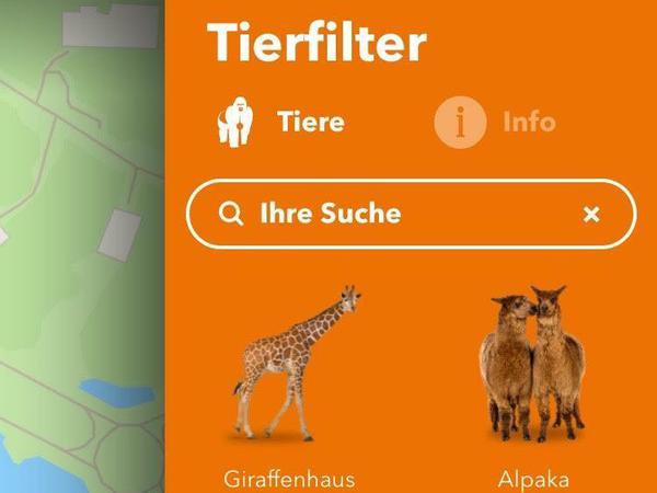 Funktion "Tiere suchen" in der Zoo-App.
