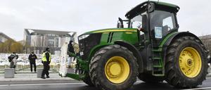 Mitte Januar demonstrierten Landwirte unter dem Motto "Wir haben es satt" für eine Wende in der Agrapolitik.