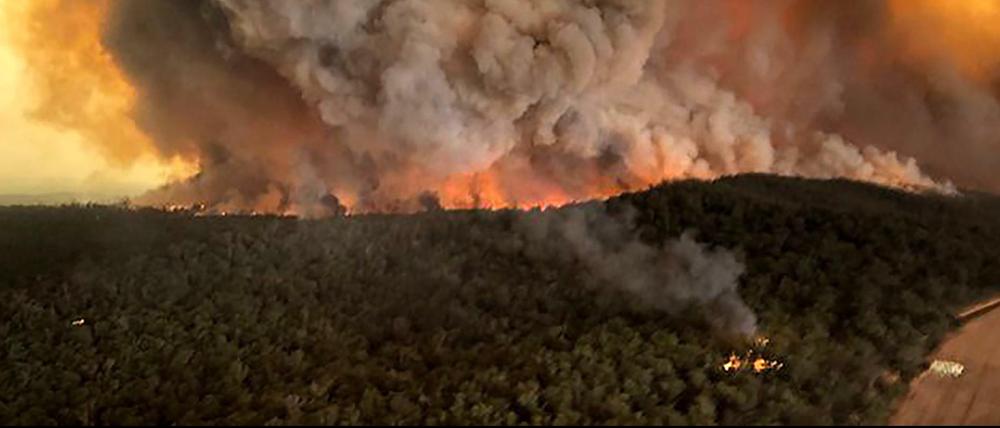 Dichte Rauchwolken steigen über einem australischen Wald auf, in dem ein Wildfeuer wütet.