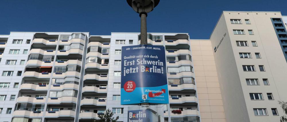 Wahlplakate der AfD hängen an einer Straßenlaterne in Marzahn-Hellersdorf.