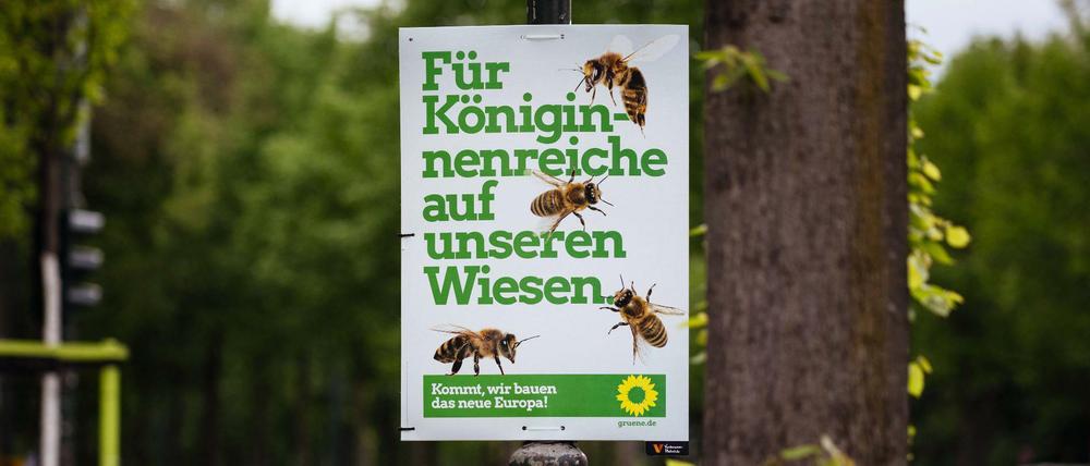 Wahlplakat der Partei zur Europawahl.