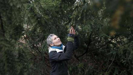 Stress abbauen unter Bäumen. Die Psychologin Lia Braun bietet das sogenannte Waldbaden an.