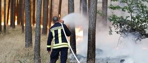 Ein Feuerwehrmann im Einsatz gegen den Waldbrand bei Fichtenwalde. 