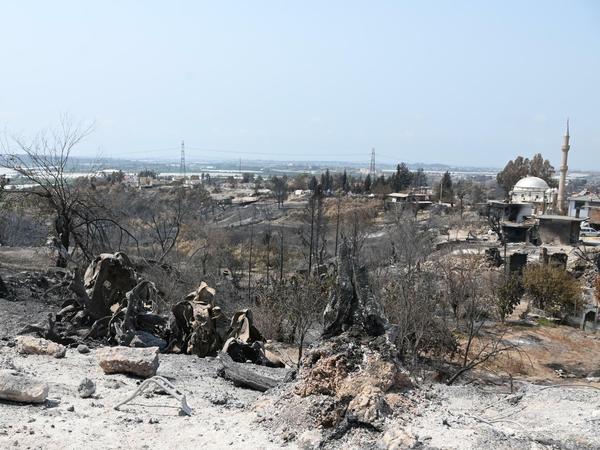 Das Dorf Kalemler in der Provinz Antalya, nachdem das Feuer in dem Ort gewütet hat.