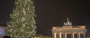 Vor zwei Jahren erstrahlte der Weihnachtsbaum aus Norwegen noch vor dem Brandenburger Tor.