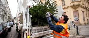 Draußen viel Tännchen: Ab Donnerstag holt die BSR die Weihnachtsbäume ab.
