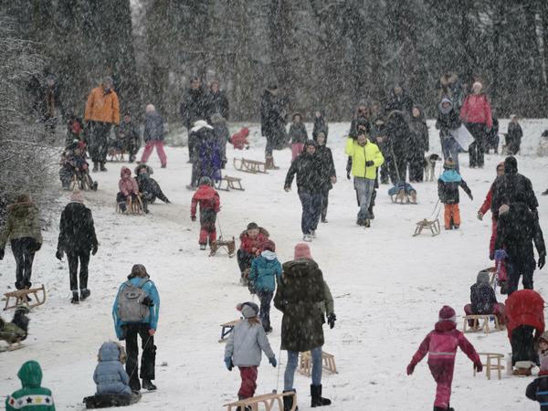 Zahlreiche Menschen sind beim ersten Schnee in der Hauptstadt am Rodelhügel im Grunewald unterwegs. 