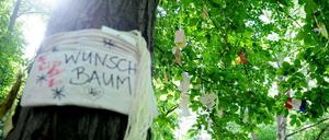 Für fast jeden Wunsch gibt es in Berlin einen Anspruchsschein. Was für einen Wunschbaum ein Konzept ist, sorgt als Politikstrategie für Frust.