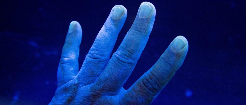 Unsichtbare Gefahr. Die Hand auf diesem Bild wird im Institut für Hygiene und Gesundheit in Hamburg auf Krankheitserreger untersucht.