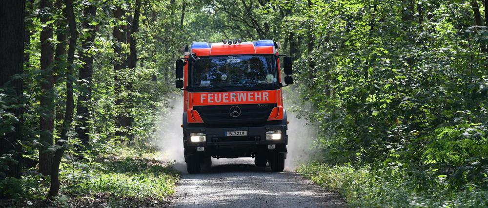 Ein Einsatzfahrzeug der Feuerwehr fährt durch den Berliner Grunewald.