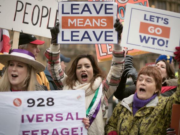 Pro-Brexit Demonstranten bei einer Kundgebung in London.