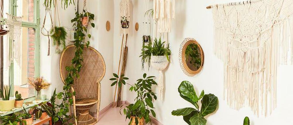 Dörte Bundt hat sich in ihrem Studio in Neukölln eine kleine Oase aus Makramee und grünen Zimmerpflanzen geschaffen.