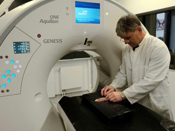 Im CT kann Thomas Hildebrandt Skelett und die inneren Organe der Tiere untersuchen.