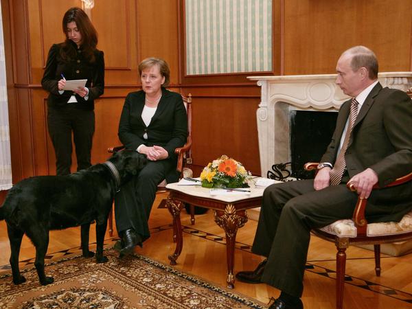 Erstarrt: Bundeskanzlerin Angela Merkel (CDU) war bei ihrem Besuch in Russland wenig erfreut, als Putins Hündin "Koni" auf Tuchfühlung ging.  