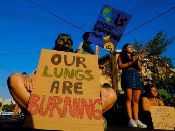 Unsere Lungen brennen. Auch in Zypern demonstrieren Menschen - hier vor der brasilianischen Botschaft in Nikosia. 