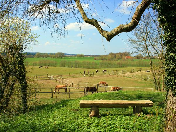 Auf fast 12 000 Quadratmeter erstreckt sich das Gelände von Gut Vorbeck. Das großzügige Anwesen ist umgeben von Pferdeställen und Weiden. 