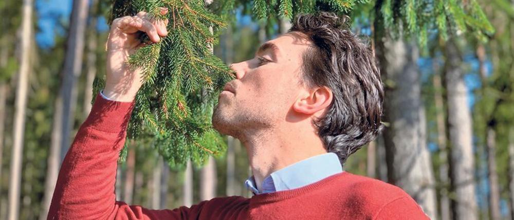 Waldökologe und Lebensmittelexperte Artur Cisar-Erlach weiß, welche Bäume am besten schmecken.