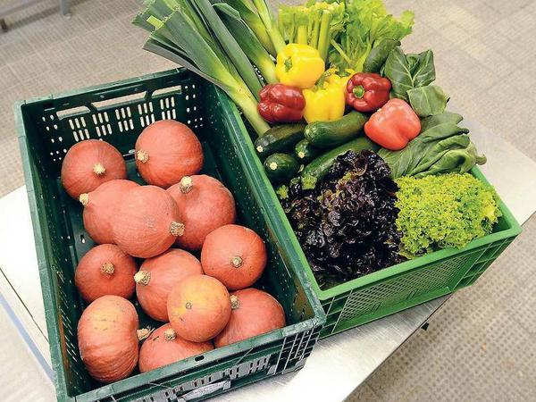 Frisch vom Bio-Hof. Kliniknachbar „SpeiseGut“ liefert Gemüse der Saison. 