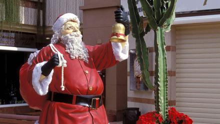 Zwischen Palmen und Kakteen. Der Weihnachtsmann kommt natürlich auch auf die Kanaren.