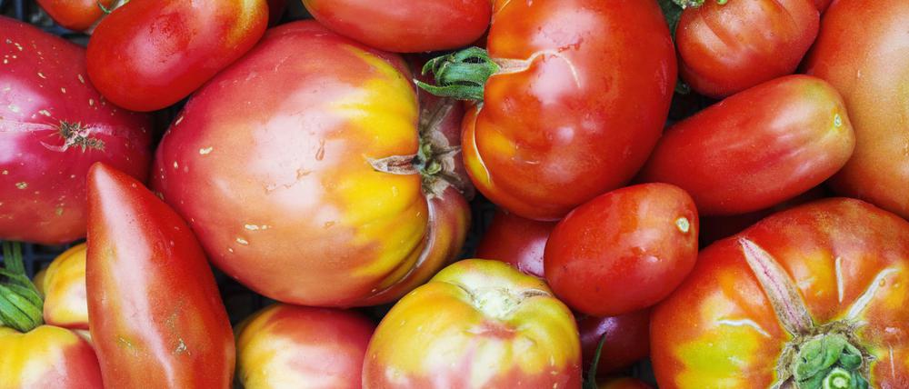 Tomaten enthalten viel Kalium und wenige Kalorien.