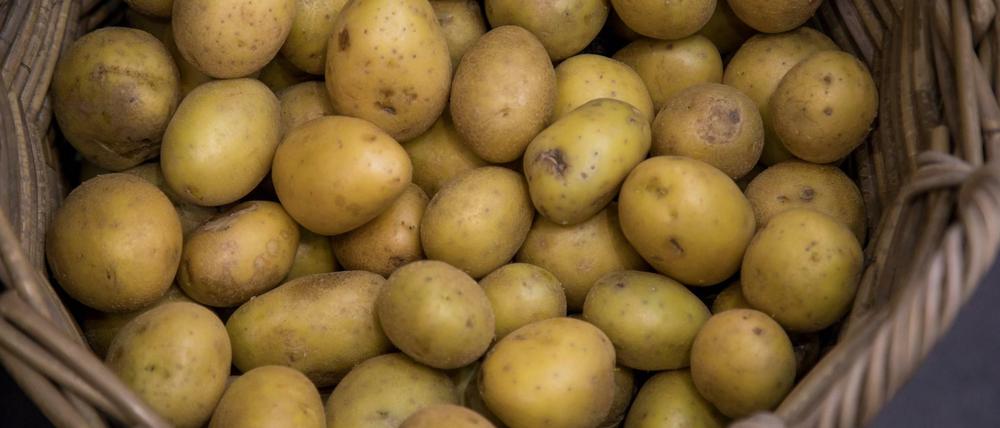 In Krisenzeiten muss der Ziergarten notfalls der Kartoffel weichen.