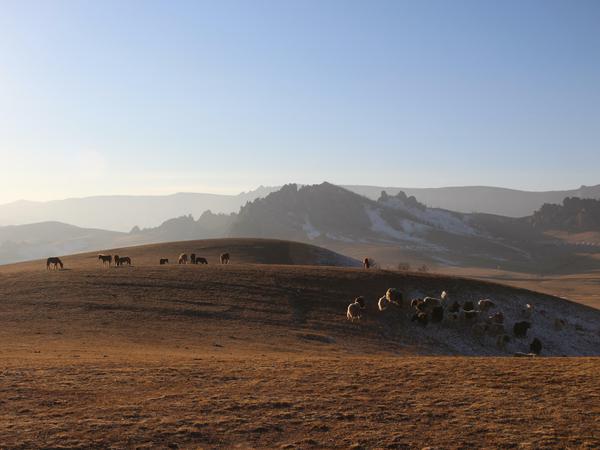 Mongolei. Die meisten der drei Millionen Einwohner leben als Nomaden mit ihren Tieren.