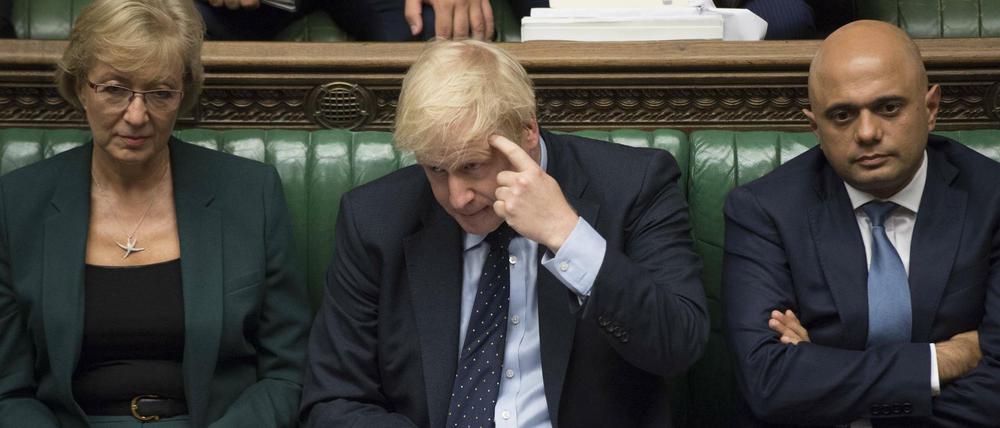 Premier Boris Johnson (Mitte) suspendierte das Parlament.