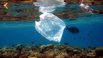 Plastiktüten im Meer