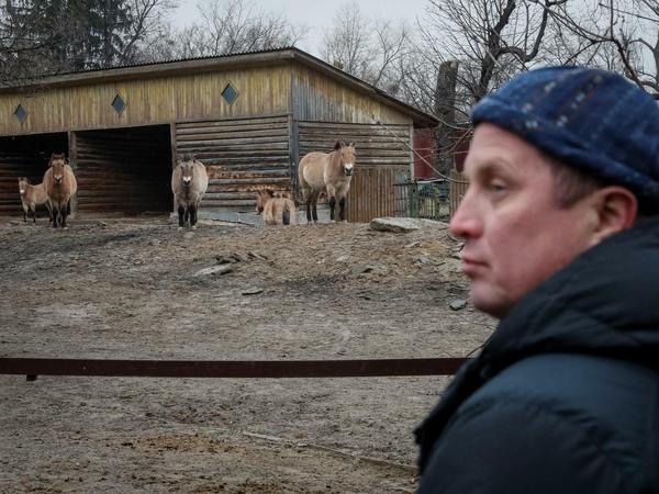 Alle Mitarbeiter, darunter Zoodirektor Kirill Trantin, und alle Tiere im Zoo von Kiew sind gesund und am Leben.