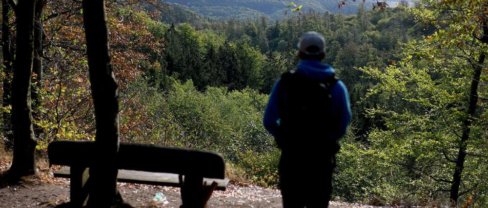 Ein junger Mann genießt die Aussicht über den Thüringer Wald.