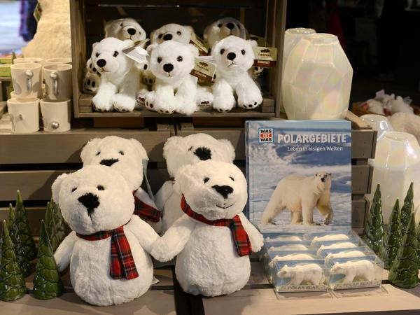 Eisbärenstofftiere im Tierpark-Shop. Geordert wurde die erste Charge an Merchandising-Artikeln bereits im September.