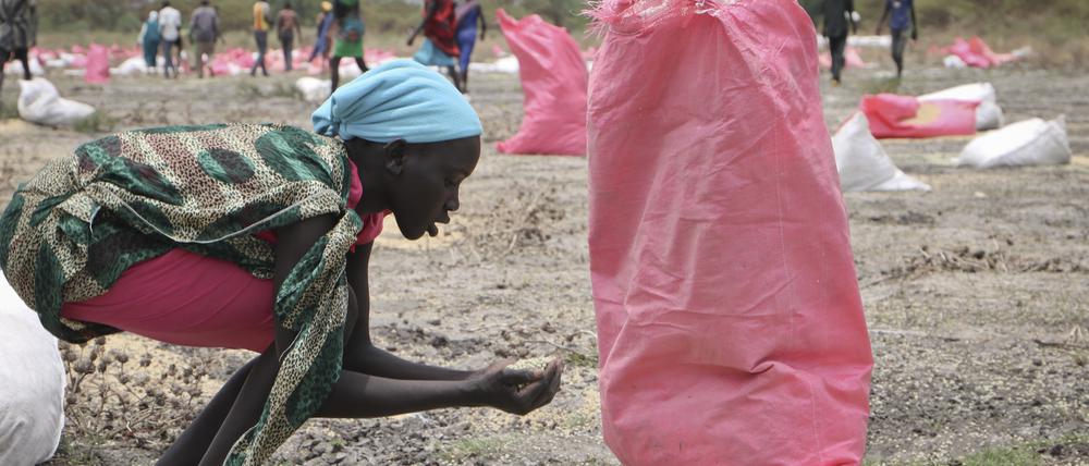 Eine Frau sammelt Hirse vom Boden auf, die in Säcken vom Welternährungsprogramm (WFP) der Vereinten Nationen über dem Südsudan abgeworfen wurde (Symbolbild).