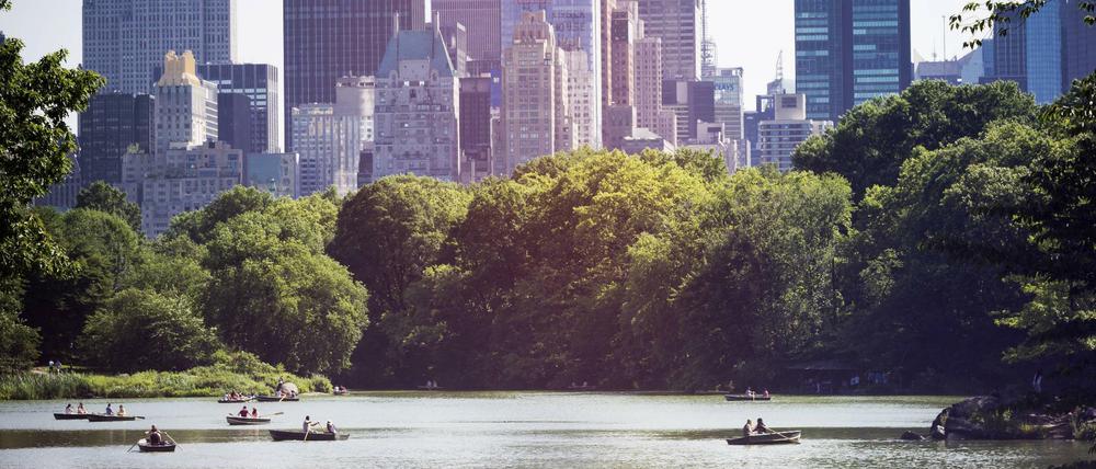 Romantischer geht's nicht: Rudern im Central Park.