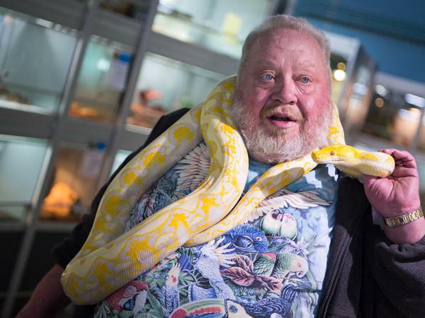 Der Schlangenbändiger: Norbert Zajac mit einem Albino-Netzpython. Die Schlange ist nicht giftig, es ist eine Würgeschlange.