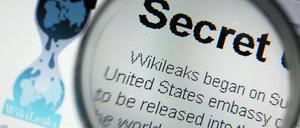 Mitarbeiter der Internet-Enthüllungsplattform Wikileaks müssen sich nach Informationen britischer Zeitungen zu strikter Verschwiegenheit verpflichten.