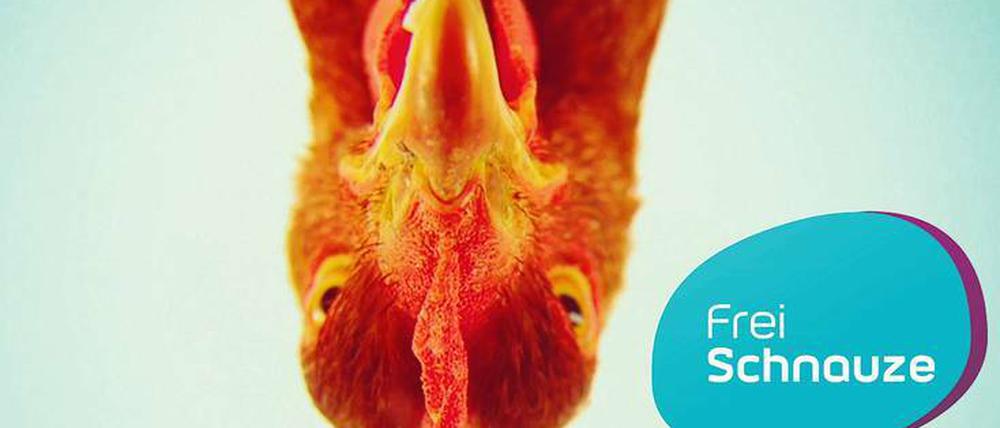 Öffentlich-rechtlicher Auftrag? Im Bayerischen Fernsehen werden im Magazin „Frei Schnauze“ Tipps zum Leben mit Tieren gegeben. Hühner dürfen nicht fehlen. 