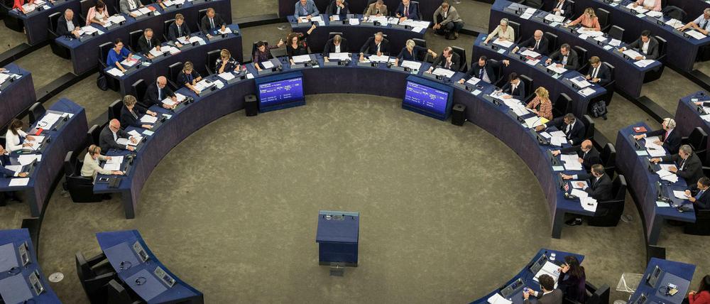 Das Europäische Parlament im Fokus von Pro7? Das klingt unglaublich.