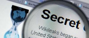 Sind die von Wikileaks jetzt enthüllten Geheimnisse wirklich von Rang? Das darf bezweifelt werden.