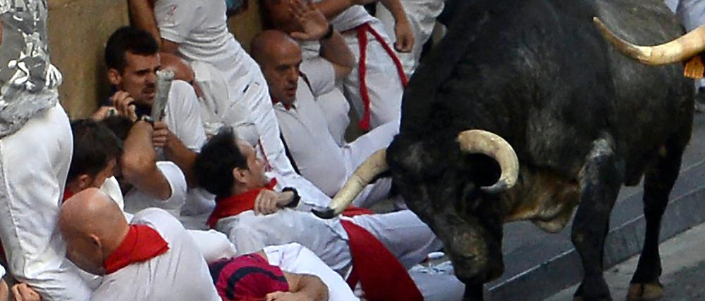 Tausende Stiere werden auf Volksfesten zu Tode gequält.