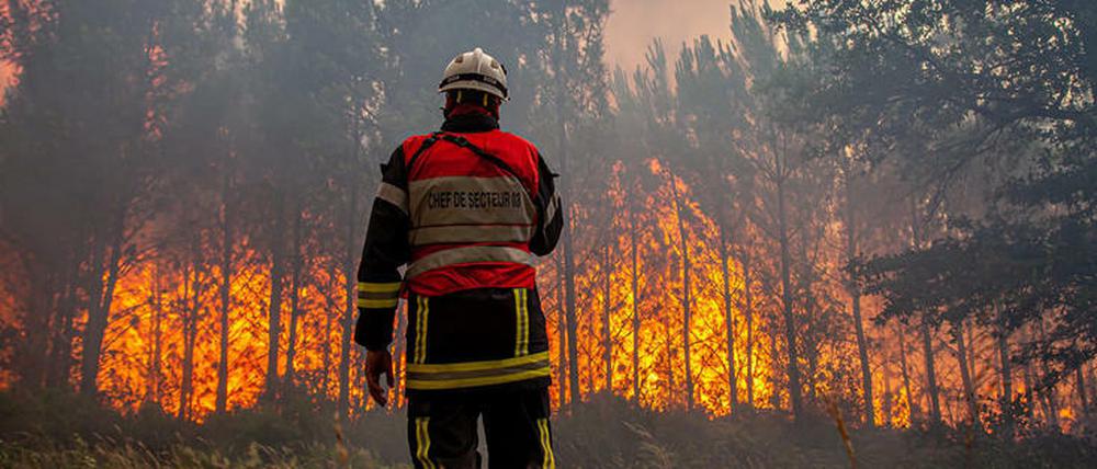 Die Waldbrände im Süden Europas halten an.