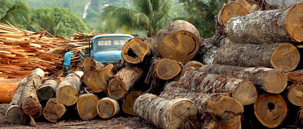 Holzfabrik in Brasilien: Der Amazonas-Regenwald ist besonders betroffen.