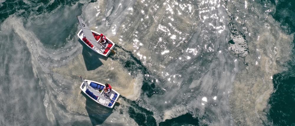 Kinder segeln mit kleinen Booten in Istanbuler Gewässern, wo sich Meeresschleim teppichartig ausgebreitet hat.