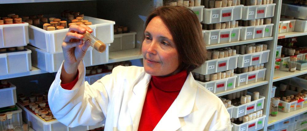 Biologin Suzanne Eaton forschte am Max Planck Institut für Molekulare Zellbiologie und Genetik in Dresden.