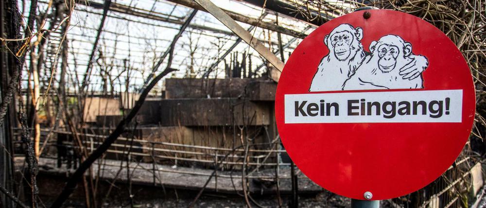 Das abgebrannte Affenhaus im Krefelder Zoo