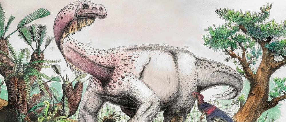 Die künstlerische Darstellung zeigt einen Dinosaurier der Art «Ledumahadi mafube» (etwa «Donnergroll im Morgengrauen»).