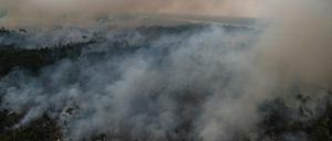 Rauch eines illegalen Feuers im Amazonas.