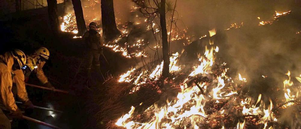 Ein Forstmitarbeiter kam in den Flammen auf La Palma ums Leben. 